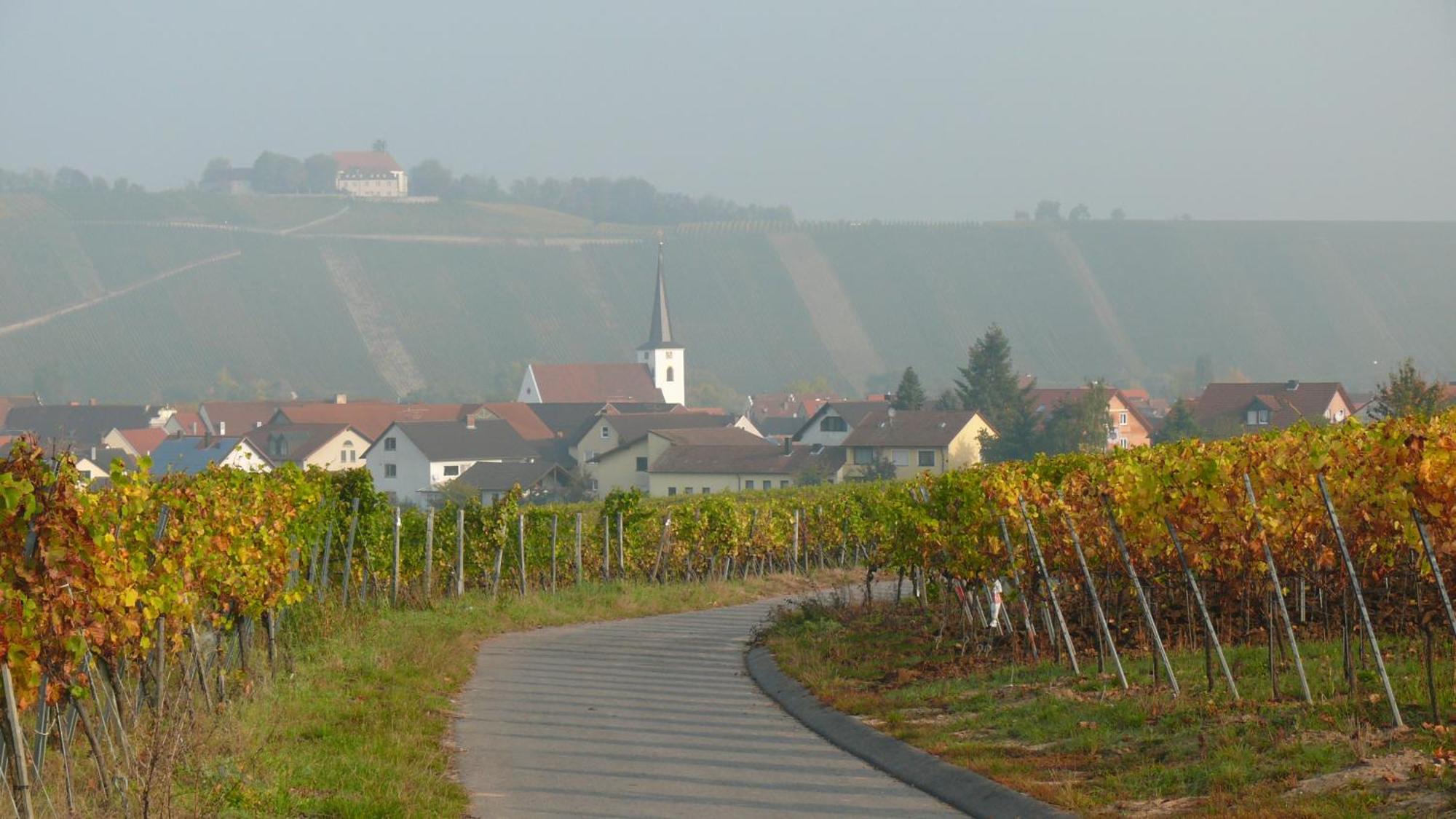 Weingut Herbert Kram Nordheim am Main Exterior foto